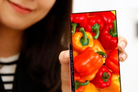 LG Display se saca de la manga una pantalla Full HD con los biseles más finos del mundo LG Display se saca de la manga una pantalla Full HD con los biseles más finos del mundo