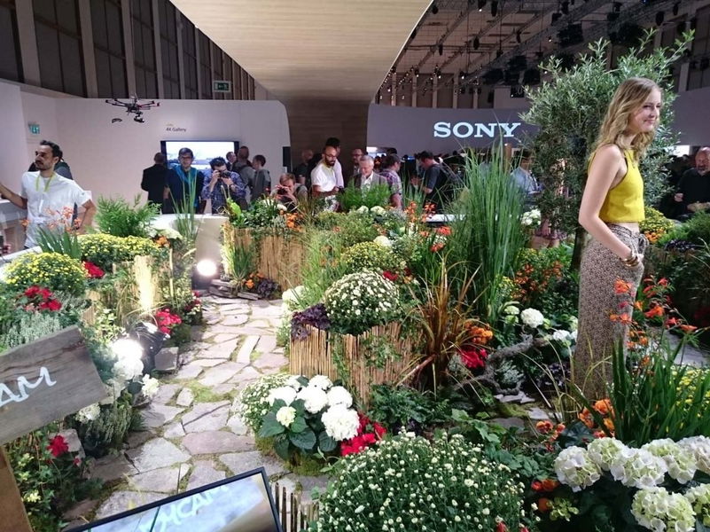 Sony presume de cámara en su nuevo Xperia Z5, ¿similar o por encima del resto?