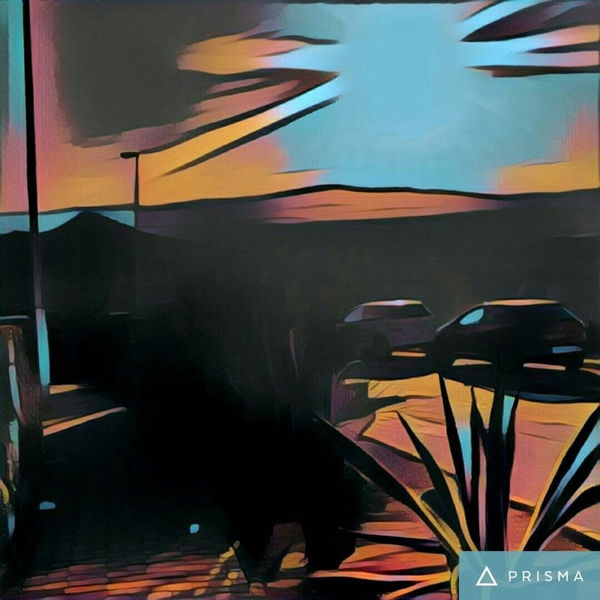 Prisma, la app que convierte tus fotografías en obras de arte, ya es oficial en Android