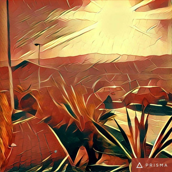 Prisma, la app que convierte tus fotografías en obras de arte, ya es oficial en Android