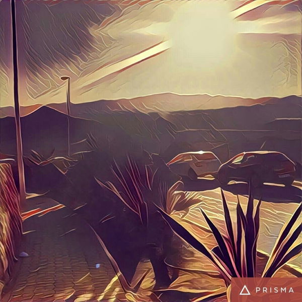 Prisma, la app que convierte tus fotografías en obras de arte, ya es oficial en Android