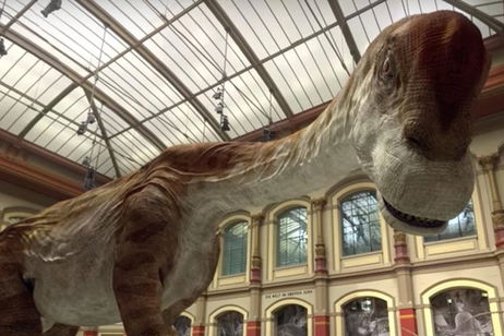Conoce los orígenes de nuestro mundo en realidad virtual con Google Arts & Culture Conoce los orígenes de nuestro mundo en realidad virtual con Google Arts & Culture