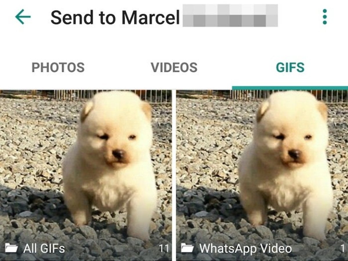 enviar GIF es posible con whatsapp