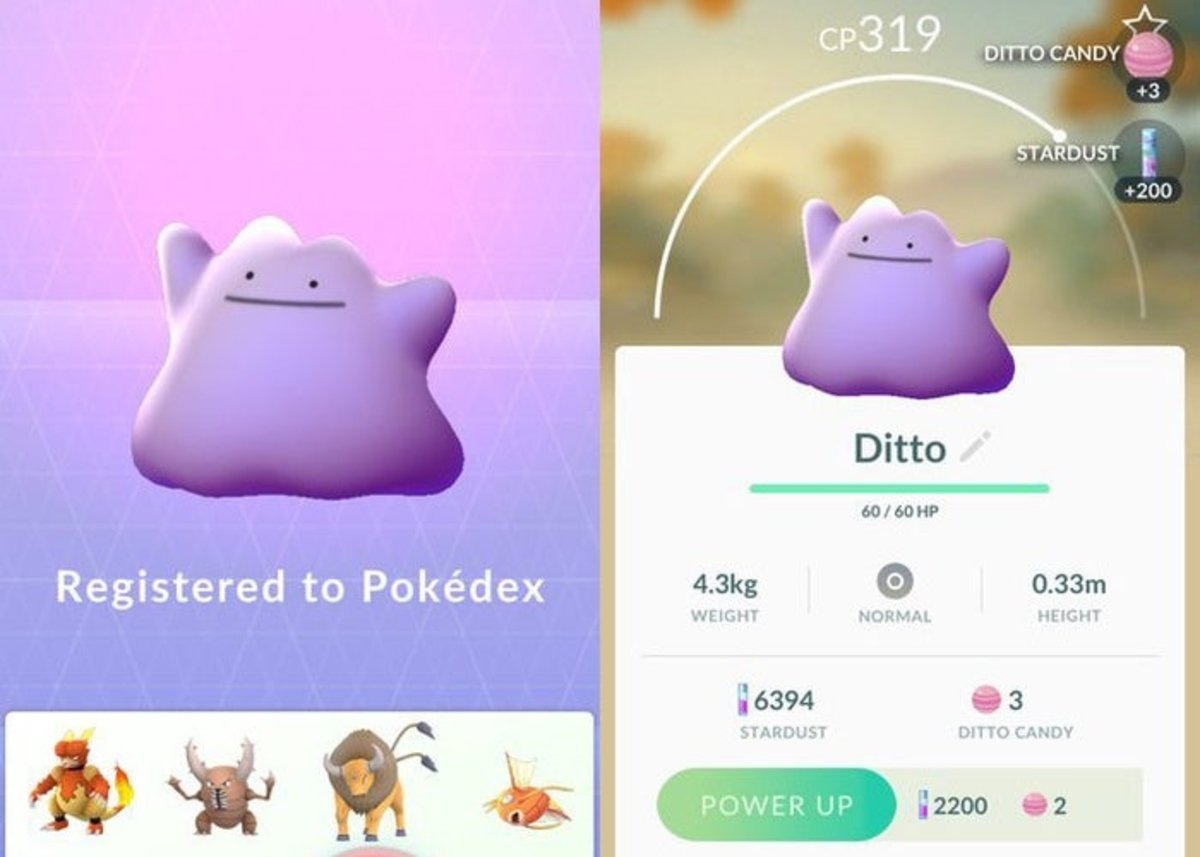 Ya puedes capturar a Ditto en Pokémon GO