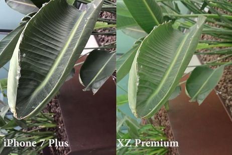 Duelo de cámaras en vídeo entre el Sony XZ Premium vs iPhone 7 Plus Duelo de cámaras en vídeo entre el Sony XZ Premium vs iPhone 7 Plus