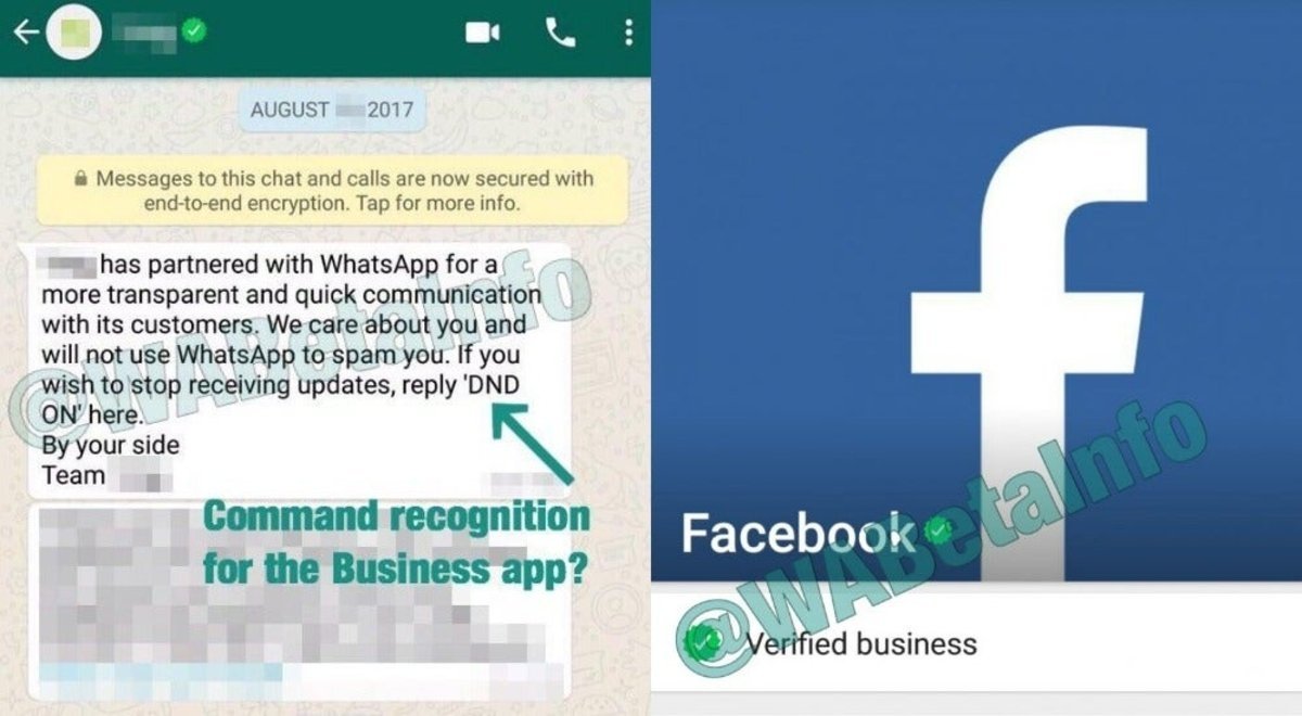 Como Pasar Los Mensajes De Whatsapp A Whatsapp Business
