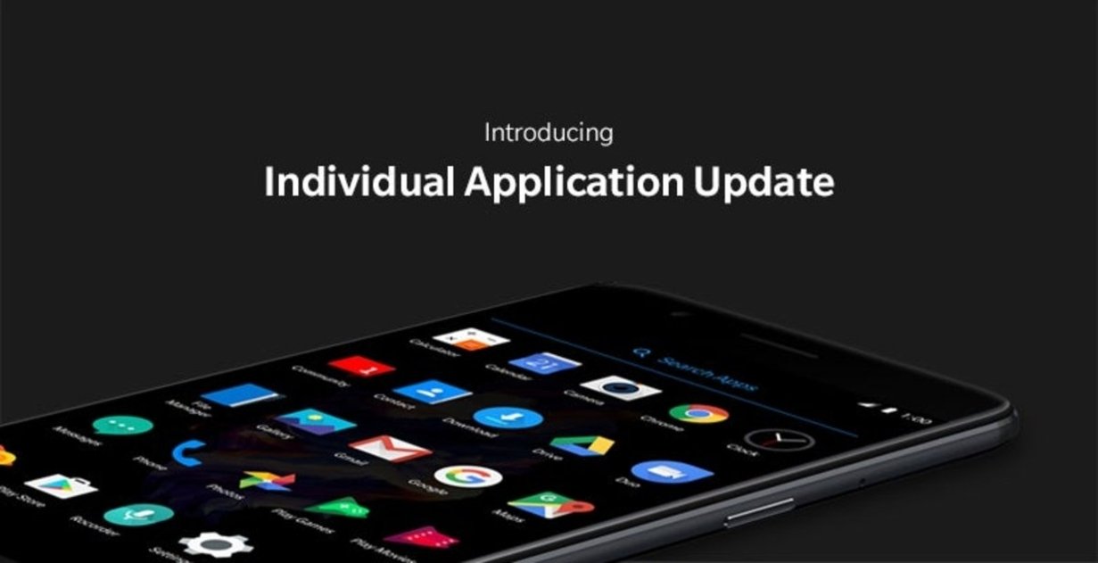 Individual Application Update