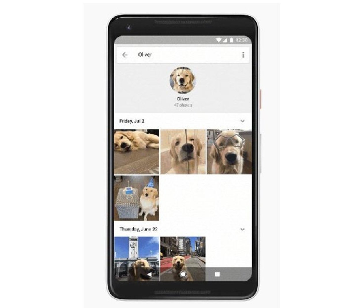 Google fotos mascotas