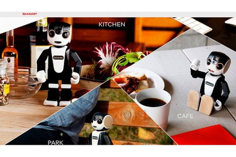 RoBoHon, el teléfono humanoide de Sharp tendrá un hermano más "barato" RoBoHon, el teléfono humanoide de Sharp tendrá un hermano más "barato"