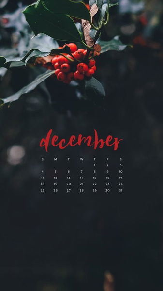 Los mejores wallpapers navideños para tu Android (2017)