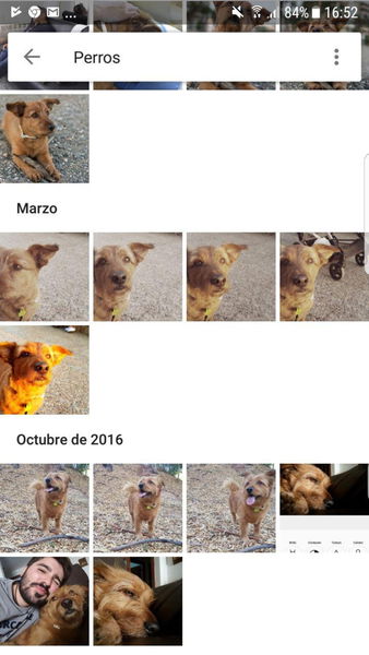 Esta Inteligencia Artificial de Google puede saber si tus fotos gustarán o no