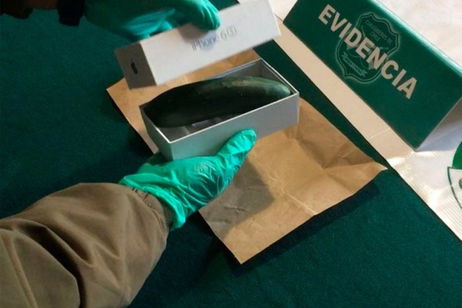 Un pepino en vez de un móvil: así de fácil es estafarte en la segunda mano Un pepino en vez de un móvil: así de fácil es estafarte en la segunda mano