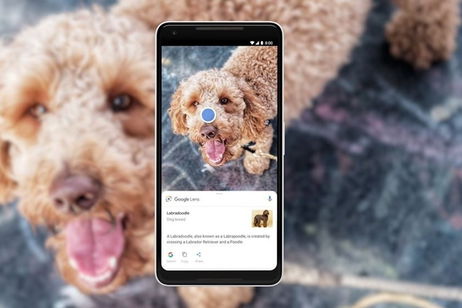 Google Lens deja al fin de ser exclusiva de los Pixel, conoce todas sus novedades... Google Lens deja al fin de ser exclusiva de los Pixel, conoce todas sus novedades...