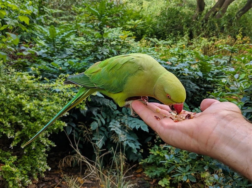 La cámara del Pixel 3 XL, a prueba: aparecen las primeras fotos hechas con el móvil