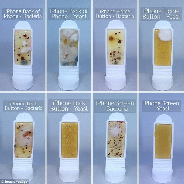 Tu móvil está 10 veces más sucio que un WC, y estas fotos lo demuestran