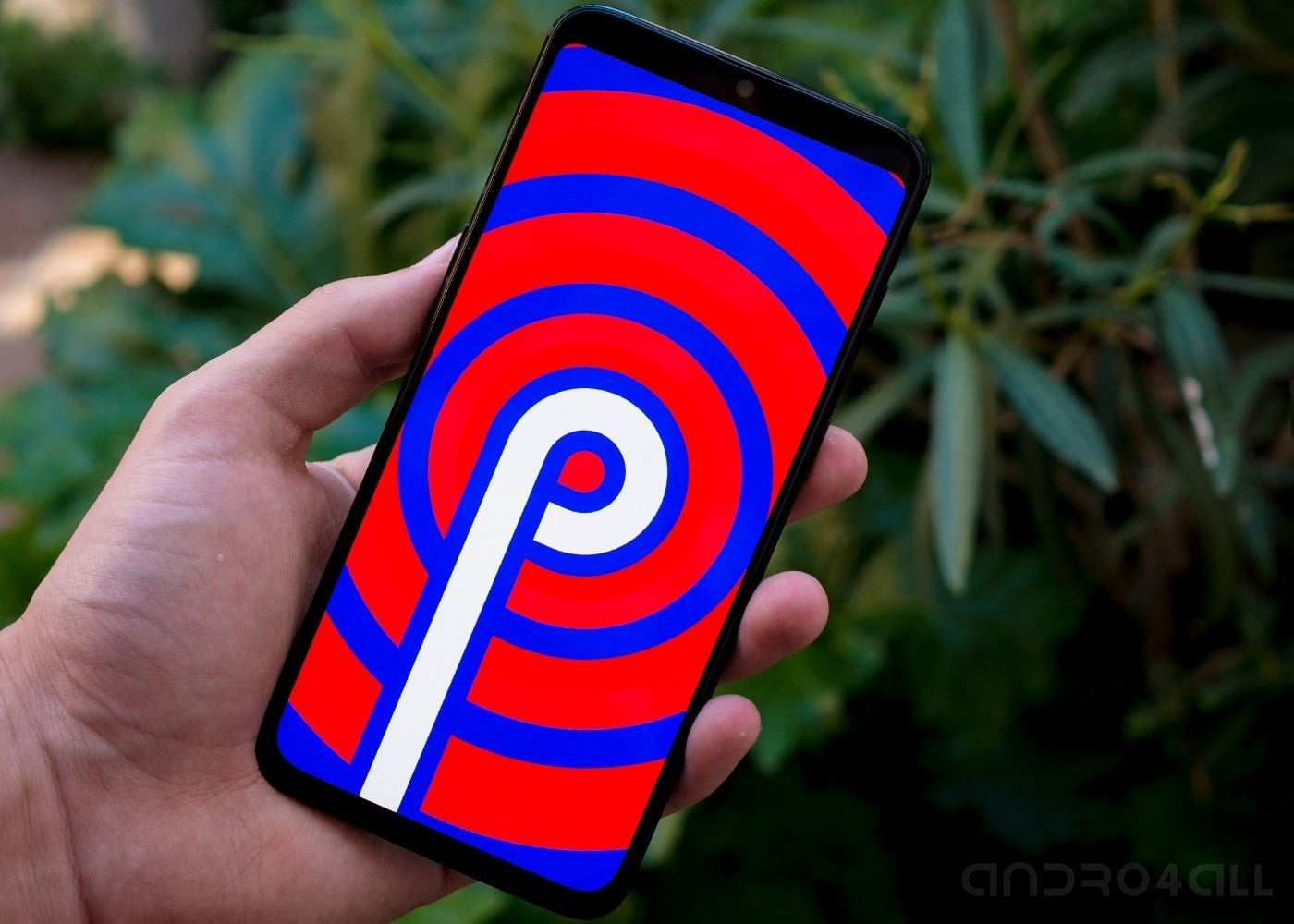 Android Pie en un Oneplus 6T