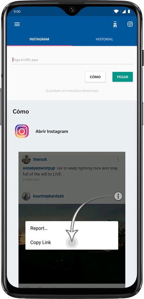 Cómo descargar los vídeos de Instagram desde tu móvil y ordenador