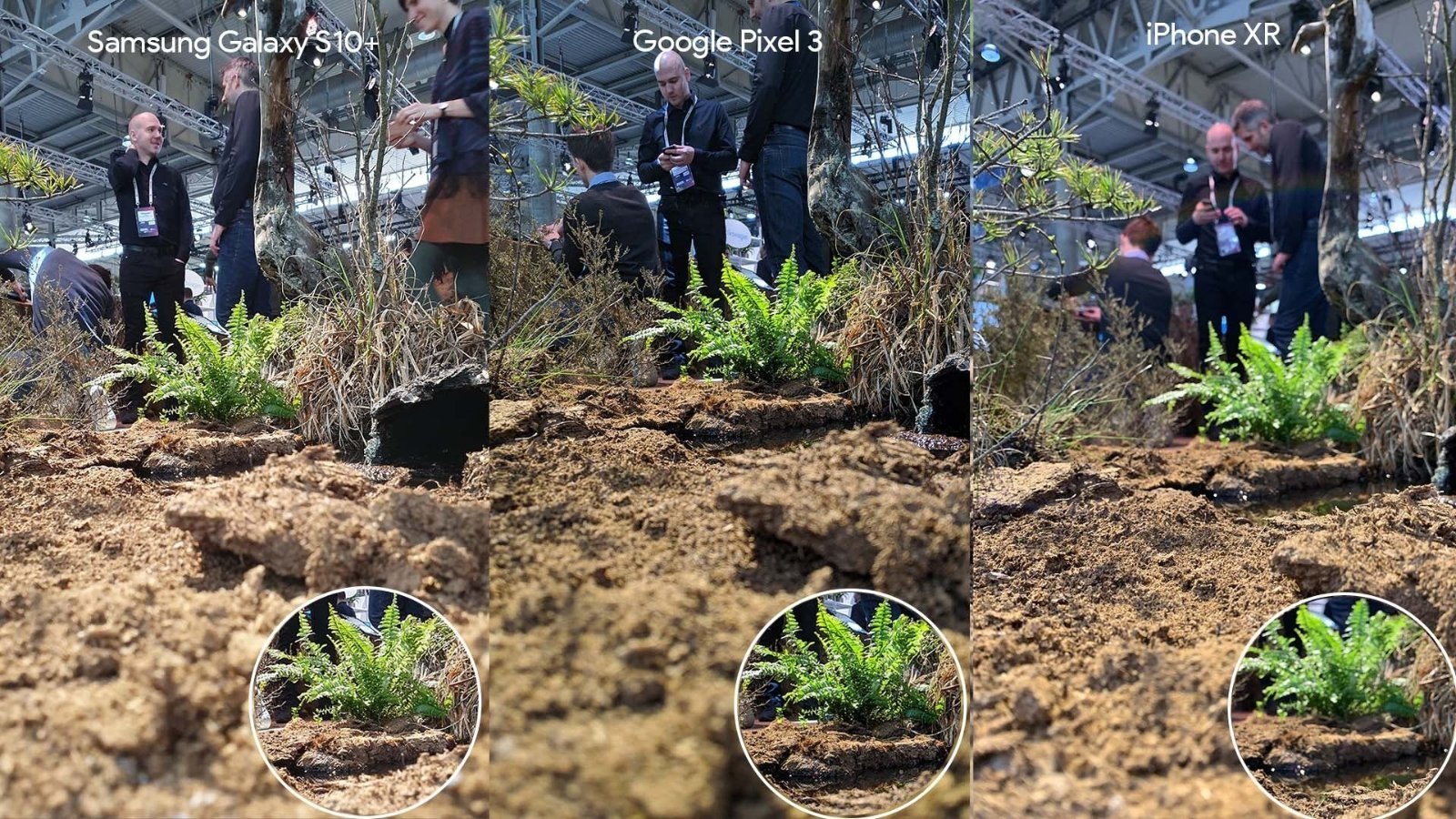 Samsung Galaxy S10+ vs Google Pixel 3 vs iPhone XR detalle