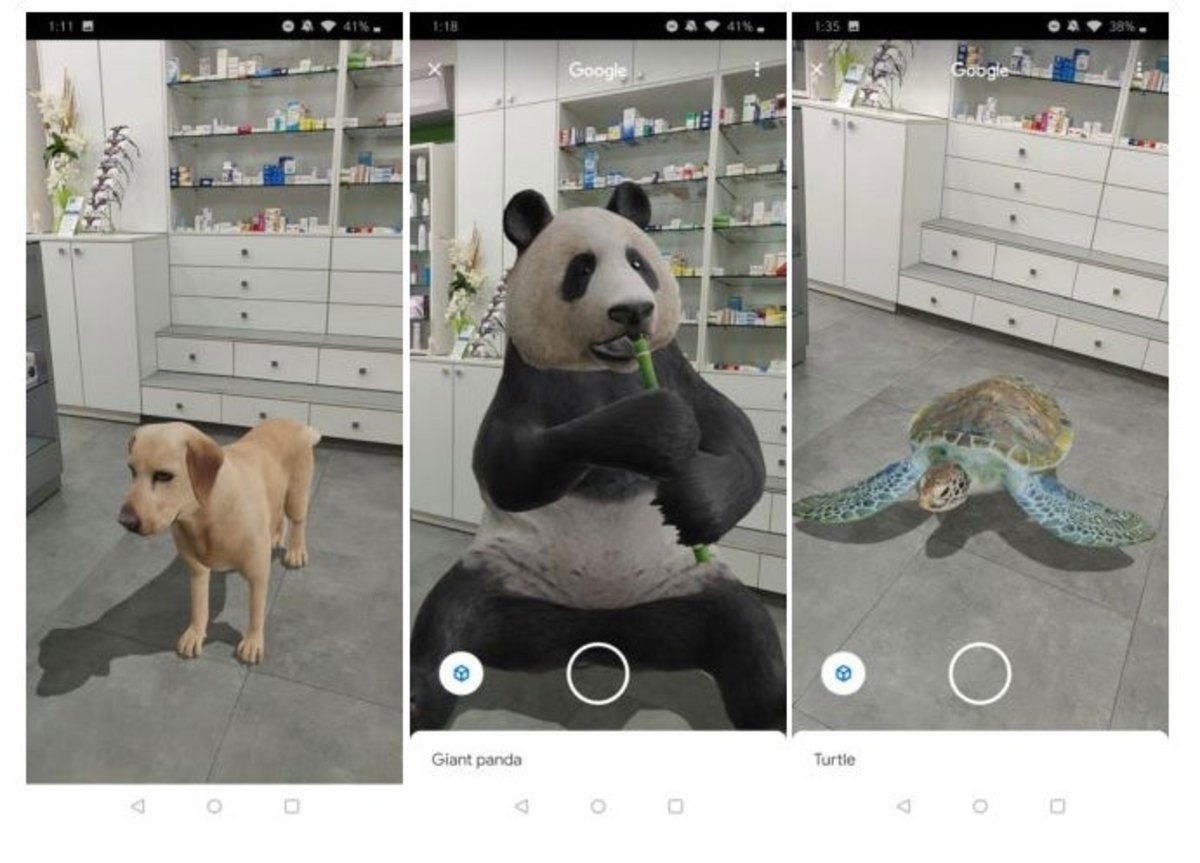 ANIMALES 3D REALIDAD VIRTUAL  Así utiliza Google la realidad aumentada con  animales