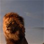 Fondo de pantalla - El rey león 2