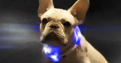 Xiaomi pone a la venta un collar con luces LED para que no pierdas de vista a tu perro