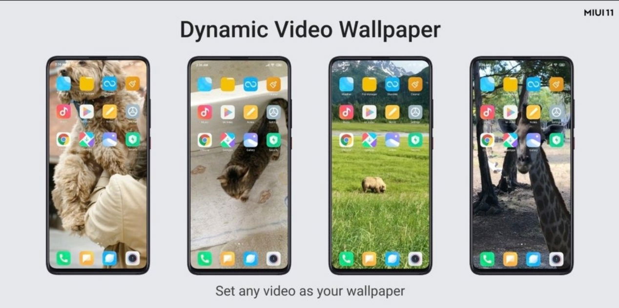 MIUI 11, video wallpaper