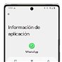 Cómo descargar y actualizar WhatsApp gratis a la última versión 2023