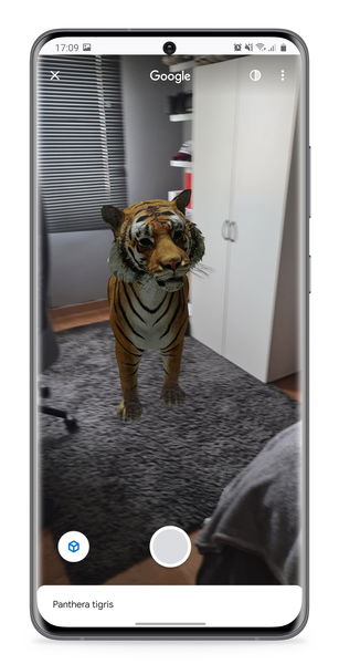 Animales 3D iPhone: cómo mostrar los animales de Google en tu terminal