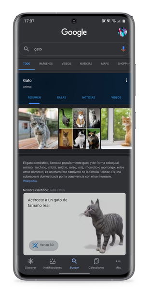 Cómo ver los animales 3D de Google en iPhone y Android: leones