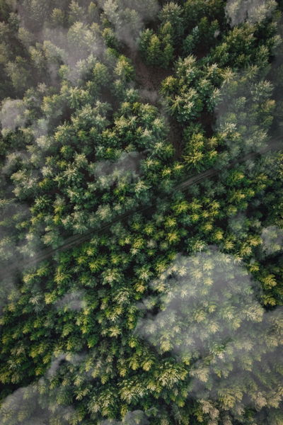 Los mejores fondos de pantalla para un confinamiento: espectaculares paisajes y naturaleza