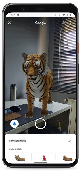 Cómo activar la realidad aumentada de Google para ver un tigre y otros  animales en 3D, paso a paso