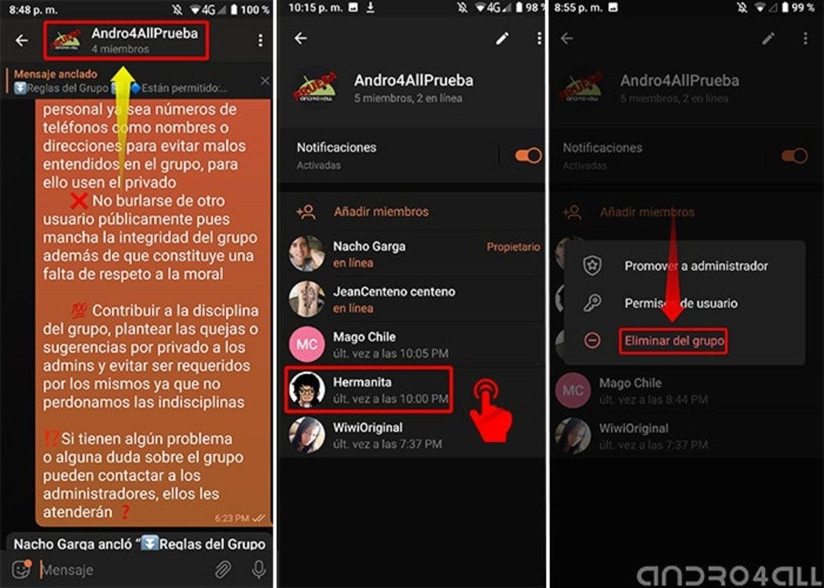 pasos para eliminar miembros del grupo de Telegram desde el móvil