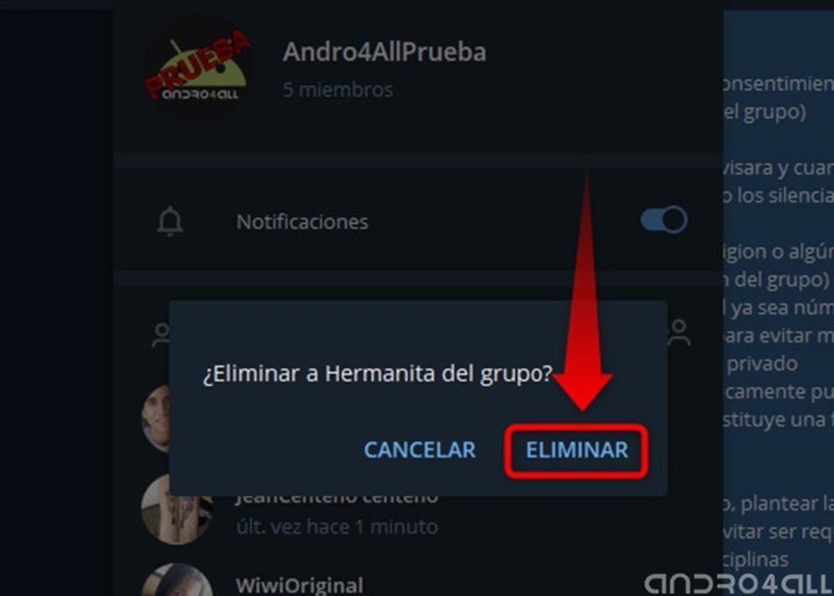 elimina el miembro del grupo en Telegram