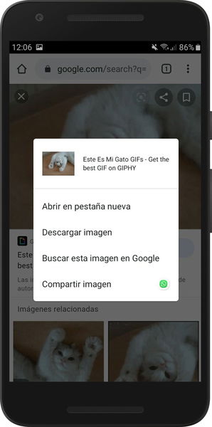 Cómo encontrar y descargar GIFs de Google y redes sociales