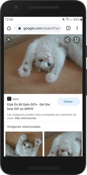 Cómo encontrar y descargar GIFs de Google y redes sociales