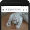 Cómo encontrar y descargar GIFs de Google y redes sociales