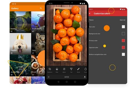 Una de las mejores apps de galería para Android se puede descargar gratis por tiempo limitado