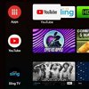 Google TV y Android TV, ¿en qué se diferencian?