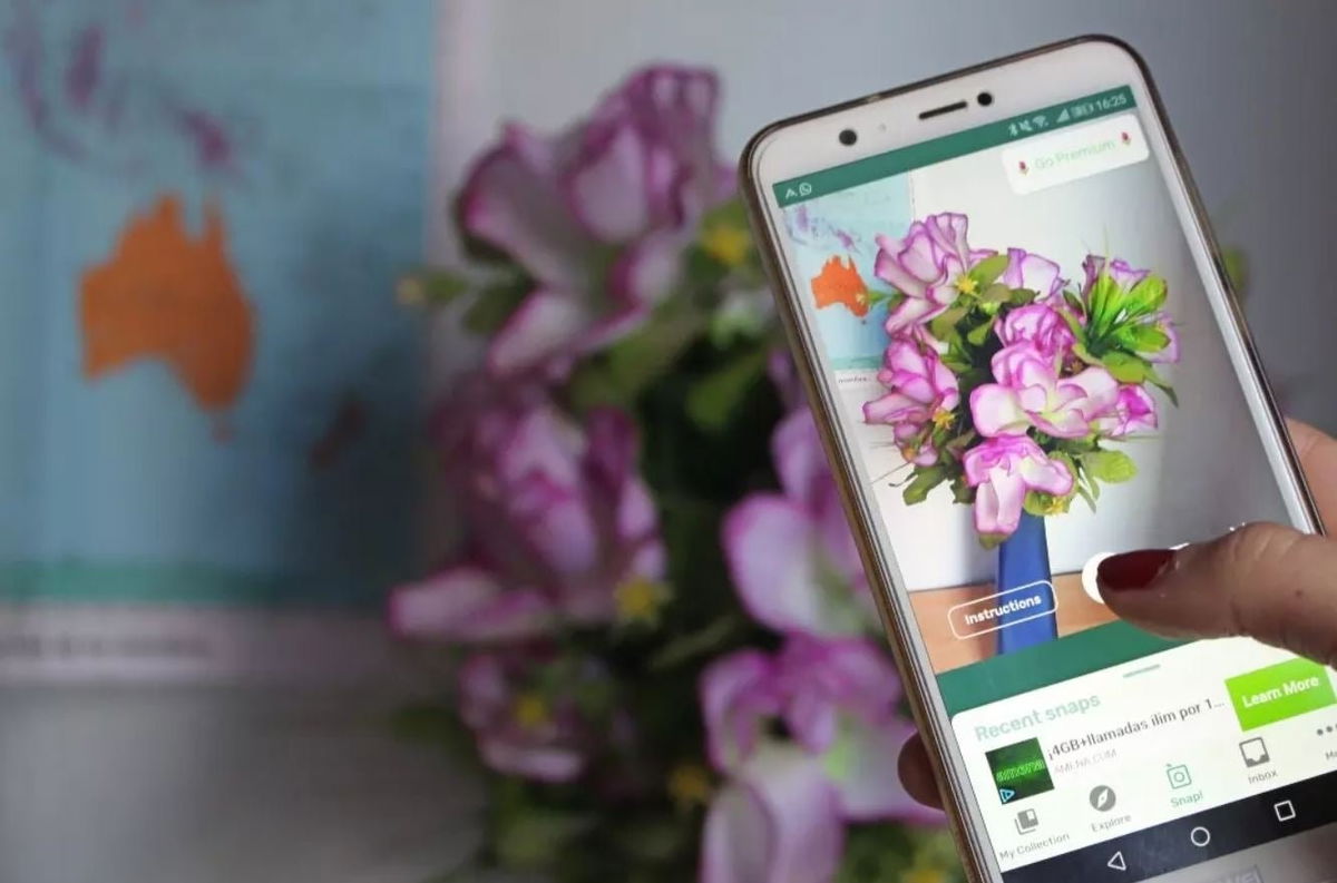6 mejores apps gratis para identificar plantas y flores (2023)