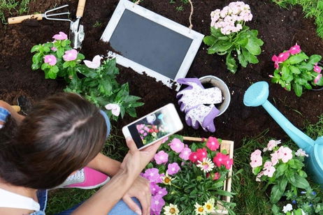 Las 11 mejores app de jardinería para cuidar tus plantas Las 11 mejores app de jardinería para cuidar tus plantas