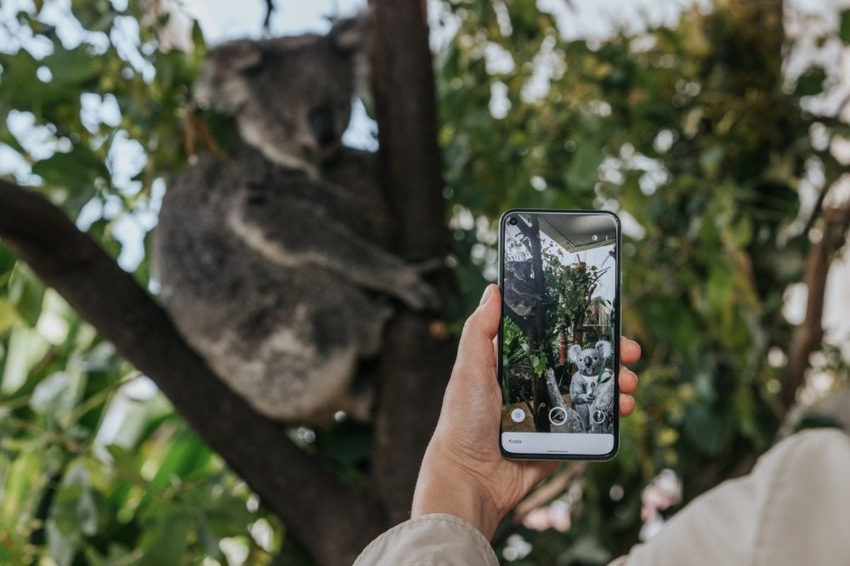La AR de Google saluda a la fauna de Australia.