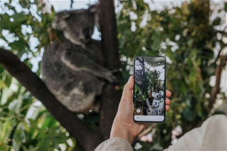 La fauna de Australia llega a tu móvil: koalas, canguros y ornitorrincos en 3D