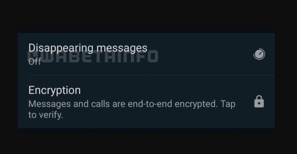 funcion mensajes que desaparecen whatsapp