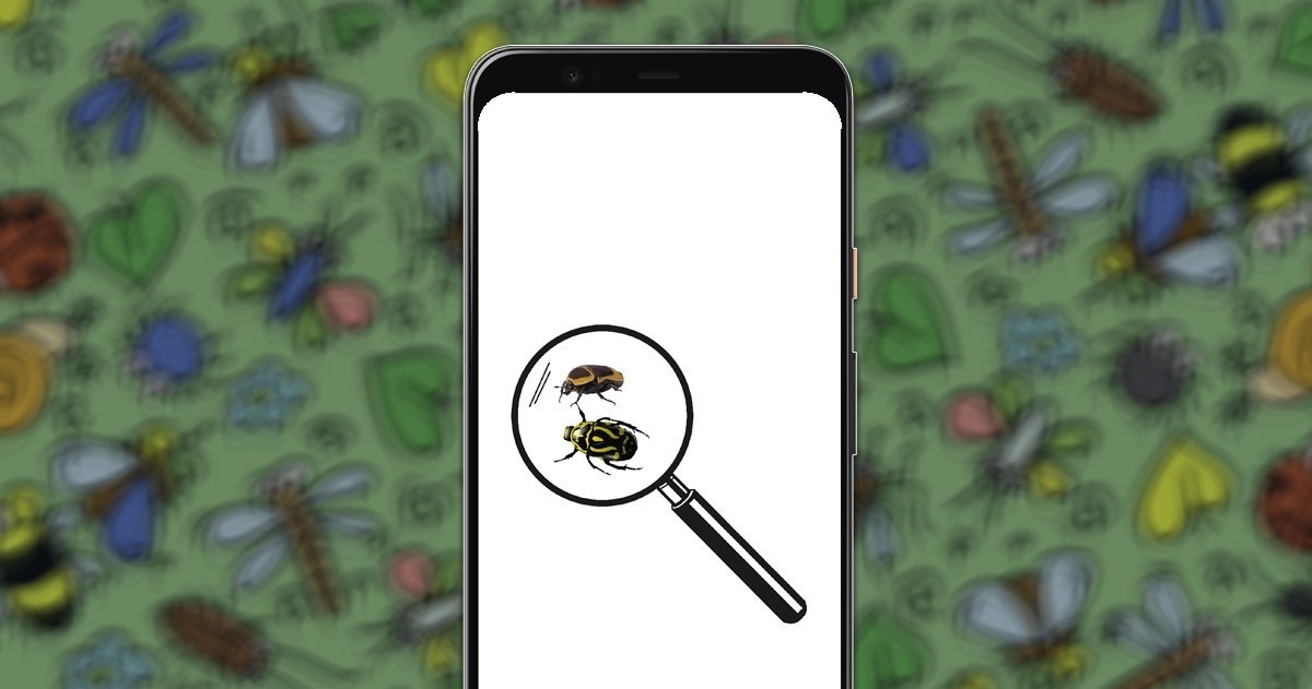 Apps para identificar insectos