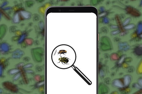4 apps para identificar insectos con la cámara del móvil de forma fácil 4 apps para identificar insectos con la cámara del móvil de forma fácil