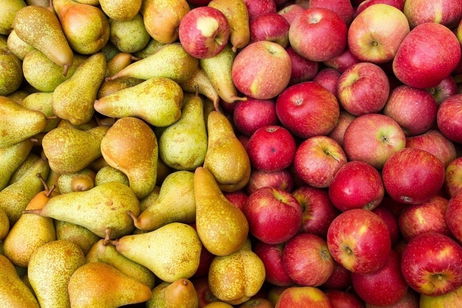 Apple lo admite: una pera no es lo mismo que una manzana Apple lo admite: una pera no es lo mismo que una manzana