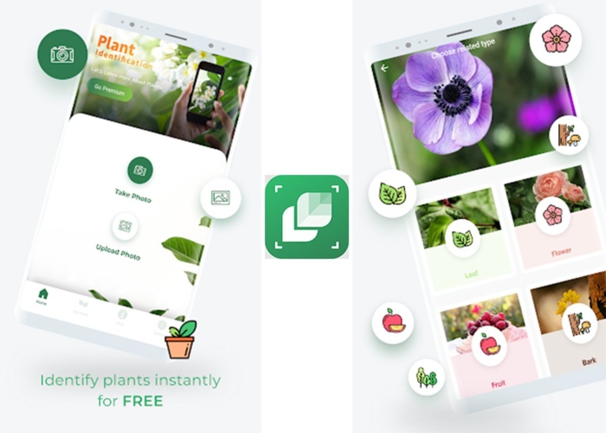 LeafSnap para reconocer plantas y flores