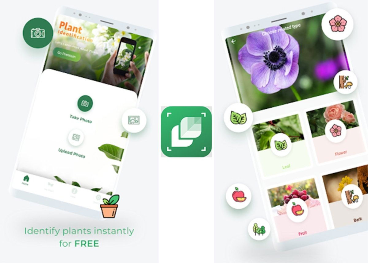 7 buenas apps para identificar plantas medicinales con el móvil