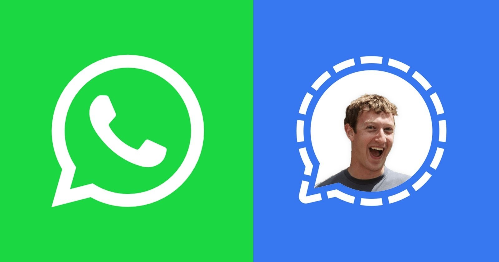 WhatsApp vs Signal con Mark Zuckerberg
