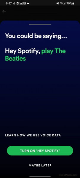 Hey Spotify!